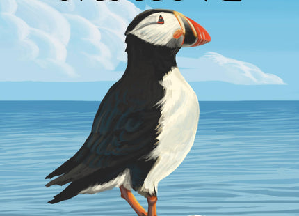 Lantern Press Maine, Puffin on Rock Scene (Absorbent Ceramic Coaster, Single, Cork Back, Kitchen Table Decor)