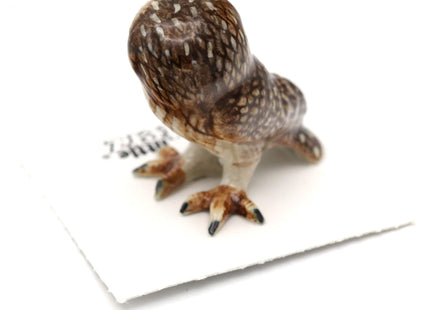 Little Critterz Owl Saw whet Owl Sawyer - Home Decor Bird Miniature Porcelain Figurine
