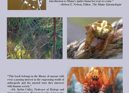 A Backyard Book of Spiders in Maine