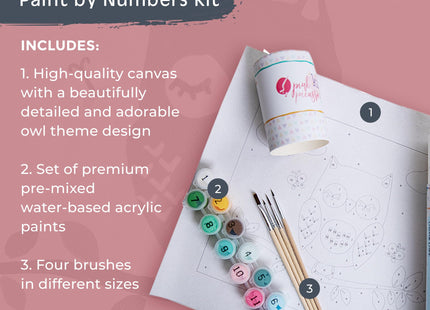 Pink Picasso Kits Olivia Owl Kids Paint by Numbers Kit, 8x10 Owl Art