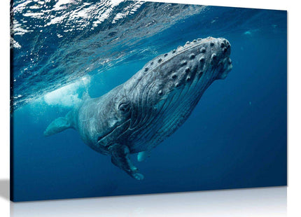 Humpback Whale Ocean Canvas Wall Art Picture Print Home Decor (30x20in)