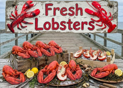 Realistic Red Lobster Decoration 11 Inch (1 Pack) Artificial Plastic