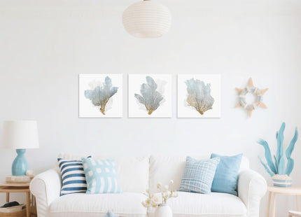 JAPO ART Delicate Coral Wall Decor for Bedroom Coastal Wall Art Home Decor Framed Sea Fan Pictures Nautical Prints Artwork for Bathroom Bedroom 16"x16"x3pcs