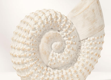 NESS AND JORD Coastal Seashell Decorative Figurine – Handcrafted Polyresin Nautical Decor Sculpture – Figurines & Sculptures Home Decor for Office, Bedroom & Living Room – 7", Whitewash
