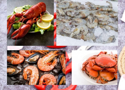LOCEAST 8PCS Red Seafood Scissors - Multifunctional Stainless Steel Crab Leg Crackers for Fish Lobster Shrimp