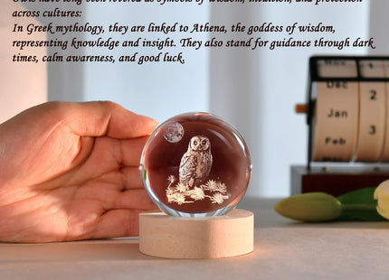 IFOLAINA 3D Owl Crystal Ball 60mm Owl Gifts for Women Birthday Holidays