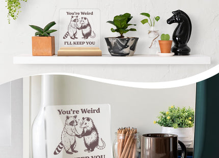 Funny Raccoon Gifts for Friends Besties, Raccoon and Possum Acrylic Plaque