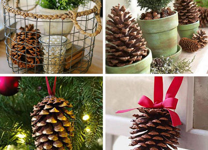 Supla 6 PCS 5"- 6" Tall Natural Pinecones Giant Pine Cones Large Pinecone Ornaments Real Preserved Pine Cones Big Pinecones