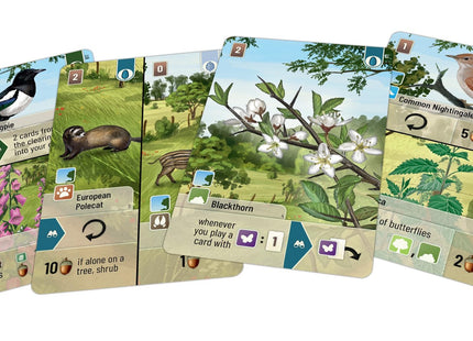 Lookout Forest Shuffle Woodland Edge Card Game Expansion