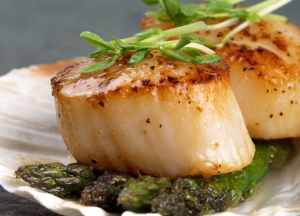 Today Gourmet Foods of NC - Scallops - U10 Dry (5lb Pkg)