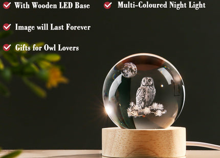 IFOLAINA 3D Owl Crystal Ball 60mm Owl Gifts for Women Birthday Holidays