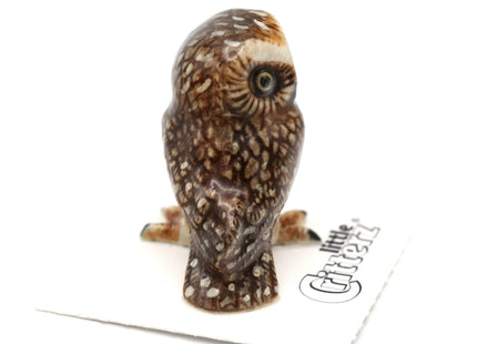 Little Critterz Owl Saw whet Owl Sawyer - Home Decor Bird Miniature Porcelain Figurine