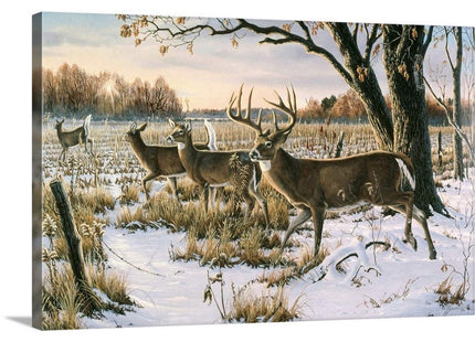 CANVAS ON DEMAND Cautious Crossing - Whitetails Canvas Wall Art Print Contemporary, Home Decor, Deer, Natural Artwork, 18" x12in
