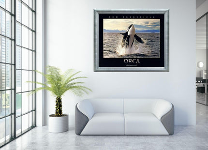 Impact Posters Gallery Breaching Orca Killer Whale Ocean Animal Nature Wall Decor Art Print Poster (16x20)
