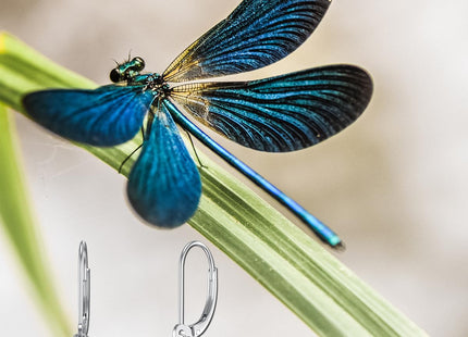 Sterling Silver Dragonfly Dangle Drop Leverback Earrings - Dragonfly Jewelry Gifts for Women