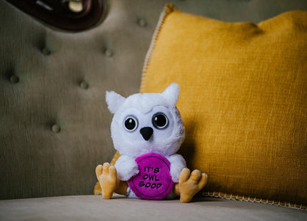 Punchkins Owl Plushie - It's Owl Good Sassy Plush, Gift for Animal Lovers, Cute Plush Toy for Gifting
