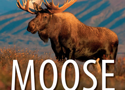 Moose: Crowned Giant of the Northern Wilderness