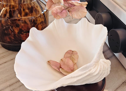 Afadorable Resin Seashell Decorative Bowl for Home Decor, Large Clam Shell Bowl for Coffee Table Centerpiece Kitchen Counter, Sea Shell Key Bowl for Entryway Table (White)