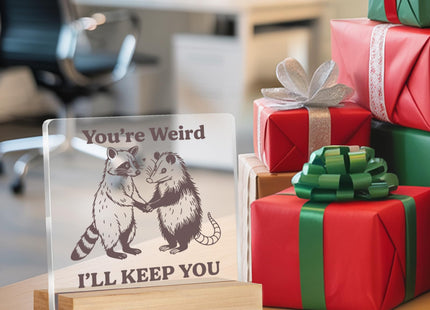 Funny Raccoon Gifts for Friends Besties, Raccoon and Possum Acrylic Plaque