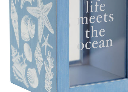 Synovana Seashell Holder Wooden Seashell Display Box Beach Coastal Decor Acrylic Sea Shell Display Holder Home Decor, 4.25 x 4.25 x 7.25 inches