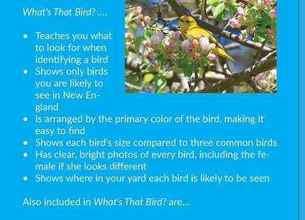 What's That Bird?: A Kid's Guide to Backyard Birds of New England