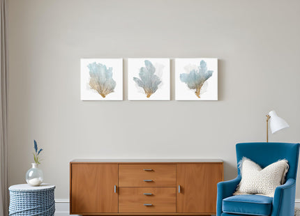 JAPO ART Delicate Coral Wall Decor for Bedroom Coastal Wall Art Home Decor Framed Sea Fan Pictures Nautical Prints Artwork for Bathroom Bedroom 16"x16"x3pcs