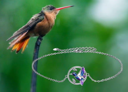 YFN Hummingbird Bracelet Gifts for Women Sterling Silver Hummingbird Bracelet Jewelry for Women