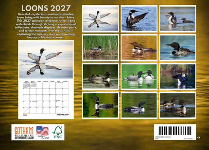 Loon Calendar 2027 Wall Monthly 12 Months