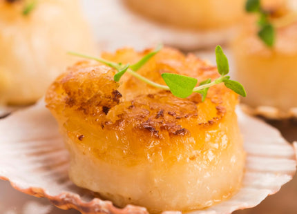Today Gourmet Foods of NC - Scallops - U10 Dry (5lb Pkg)