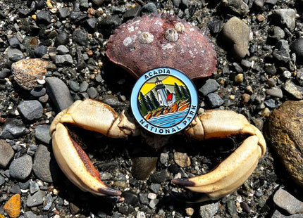 Stunning Black Nickel US | Canada National Park Fridge Magnet for Nature Enthusiasts, Gift,Destination (National Parks), Collectible Souvenirs, National Parks Gifts (Acadia)