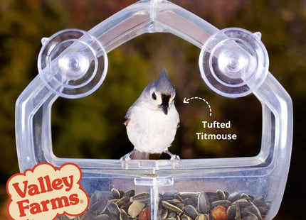 Valley Farms Chickadee Mix (3 LB) Wild Bird Food for Outside Feeders, Chickadee Bird Seed w/Peanuts and Sunflower Hearts for Birds, Feed Chickadees! Stiped Sunflower Seeds
