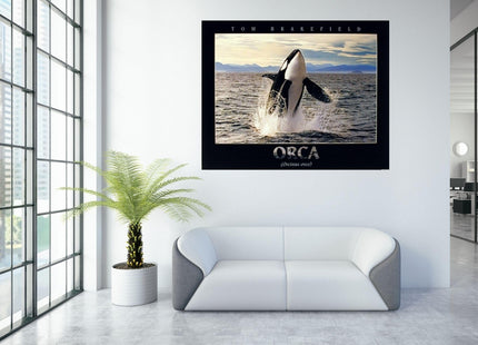 Impact Posters Gallery Breaching Orca Killer Whale Ocean Animal Nature Wall Decor Art Print Poster (16x20)