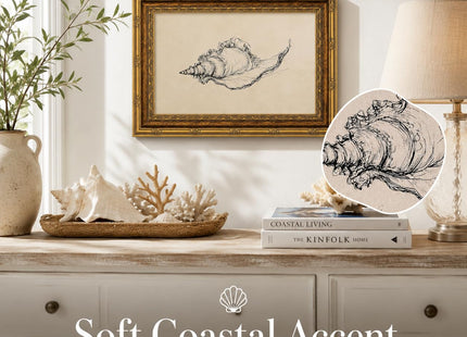 Framed Seashell Line Drawing Canvas Wall Decor, Retro Coastal Conch Painting Picture Poster Print, Minimalist Beach Artwork Home Decoration for Wall, Living Room, Bedroom 12x16in