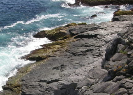 Monhegan Island, Maine: 120 Page Lined Journal, Writing Notebook For Journaling or Notetaking