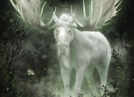 Monsters of the Pine Tree State: Cryptids & Legends of Maine (Monsters of America)