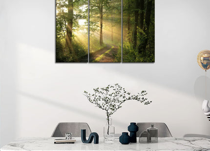 Forest Nature Wall Art Decor Sunshine Through Forest and Road Canvas Pictures Artwork 3 Panel Nuture Landscape Painting Prints for Home Living Dining Room Kitchen