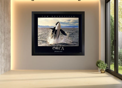 Impact Posters Gallery Breaching Orca Killer Whale Ocean Animal Nature Wall Decor Art Print Poster (16x20)