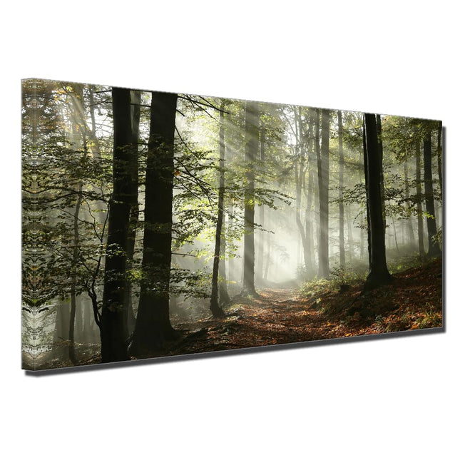Foggy Forest Canvas Wall Art Home Office Decor Smoky Pine Tree Spring Frame