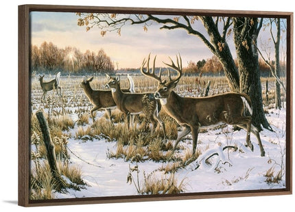 CANVAS ON DEMAND Cautious Crossing - Whitetails Walnut Float Framed Canvas Wall Art Print Contemporary, Home Decor, Deer, Natural Artwork, 24" x16in