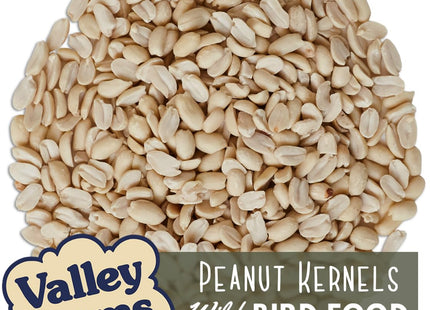 Valley Farms Whole Peanut Kernels (4 LB) Wild Bird Food for Outside Feeders, Peanuts for Birds, Chickadee Bird Seed for Outside Feeders, No Mess Bird Seed