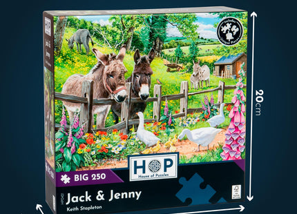 The House of Puzzles - Seagull View Jigsaw - Big 250 Piece Jigsaws for Adults & Kids, Extra Large Pieces, Artist Illustrated, Scenic Landscape, Deluxe Puzzle Gifts