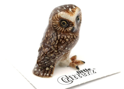 Little Critterz Owl Saw whet Owl Sawyer - Home Decor Bird Miniature Porcelain Figurine