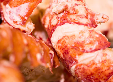 Today Gourmet Foods of NC - (2 lbs) Lobster Meat (Knuckle, Leg and Claw)
