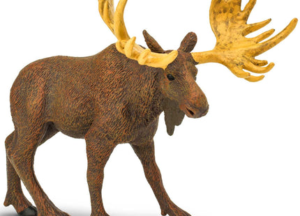 Safari Ltd. Moose Figurine - Realistic 5" Animal Figure - Educational Toy for Boys, Girls, and Kids Ages 1+