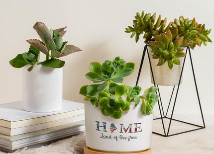 DreamAutumn Home Land of The Free Maine Planter Ceramic Round Plant Pots with Drainage Holes and Bamboo Tray Planting Small Flower Pots for Home Windowsill Desk Garden Indoor Outdoor Use