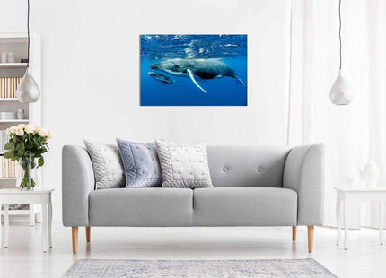 Humpback Whale & Calf Canvas Wall Art Picture Print Home Decor (24x16in)