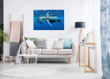 Humpback Whale & Calf Canvas Wall Art Picture Print Home Decor (24x16in)