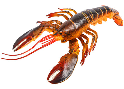 Hiawbon 13 Inch Realistic Lobster Figurine Plastic Lobster