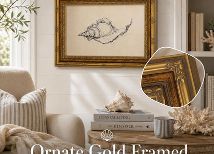 Framed Seashell Line Drawing Canvas Wall Decor, Retro Coastal Conch Painting Picture Poster Print, Minimalist Beach Artwork Home Decoration for Wall, Living Room, Bedroom 12x16in
