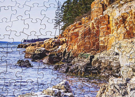 BEDUKE Jigsaw Puzzles for Adults 1000 Pieces Acadia National Park 1000 Piece Puzzle Age 14+ Thick Sturdy Cardboard Precise Interlocking Family Game